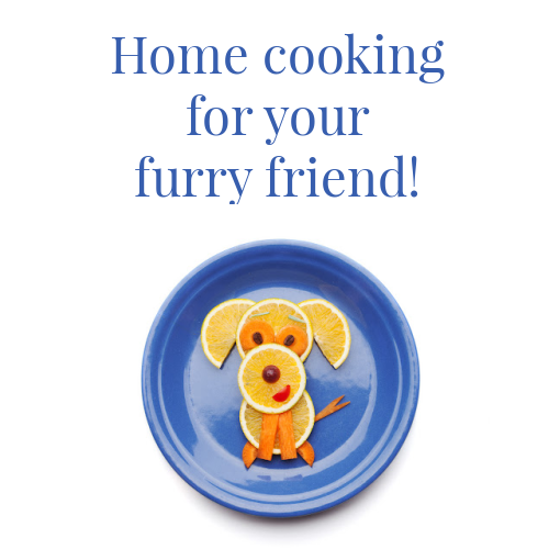 Pawsitively Perfect Stew for Lucky Love Dogs!
