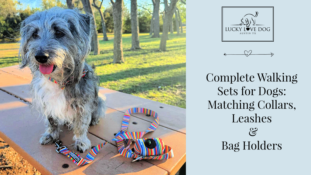 Complete Walking Sets for Dogs: Matching Collars, Leashes & Bag Holder ...
