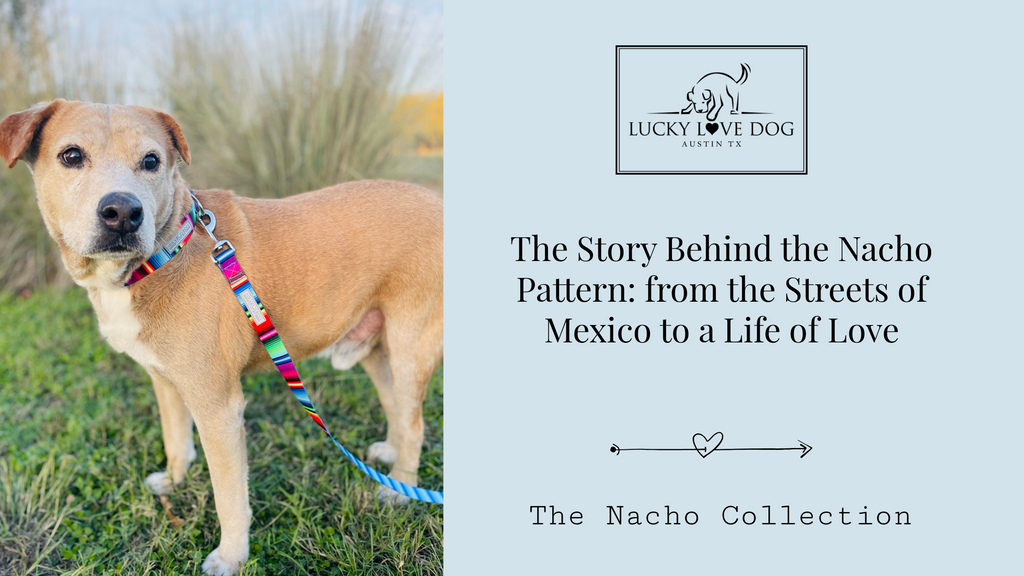 The Story Behind the Nacho Pattern: From the Streets of Mexico to a Life of Love