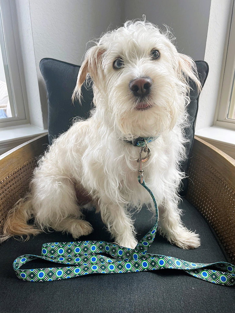 Top Dog Collar & Leash Trends for 2025 — Lucky Love Dog Edition