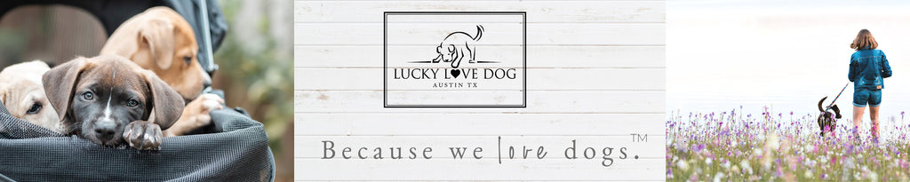 Lucky Love Dog Collar+Leashes