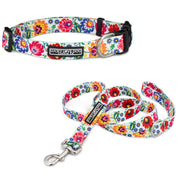 Dog collar and leash set with a bright white, red, and blue folk-art floral pattern.
