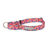 Martingale Collar Bundle - Wholesale