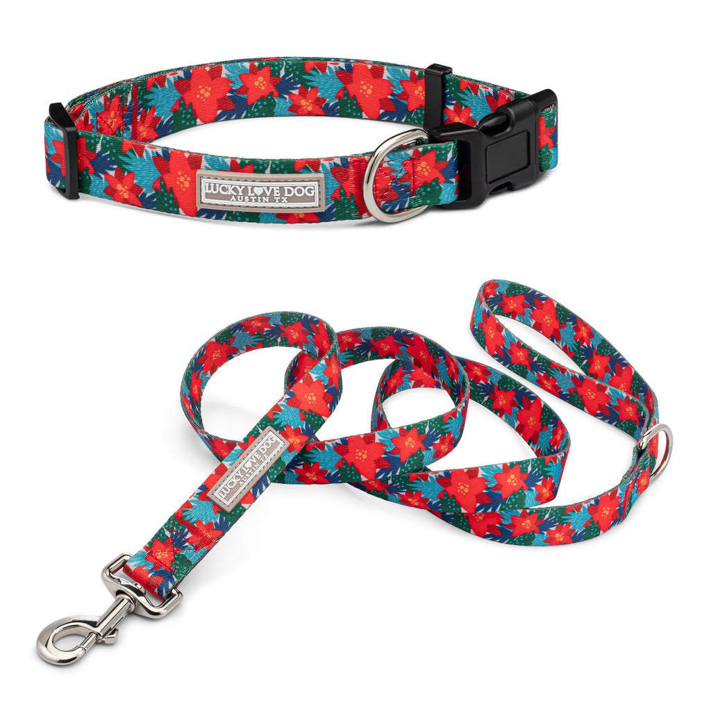 red green blue poinsettia dog collar and leash