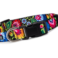Colorful floral Lucky Love Dog collar with black buckle.