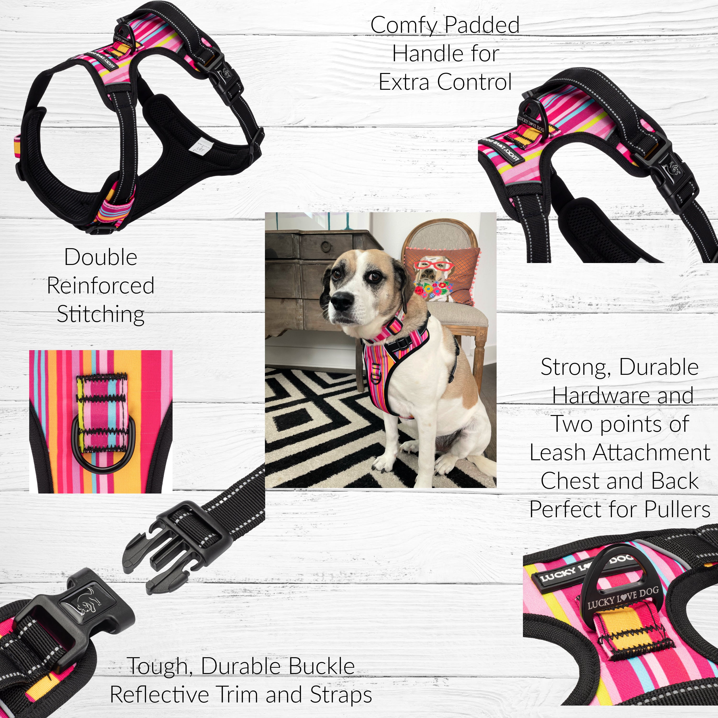 Leash Chewy Easy Walk Lucky Love Dog Adjustable Easy Walker Dog