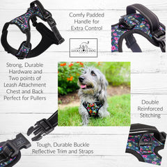Easy Walker Primrose Harness