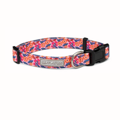 Floral Lucky Love Dog collar featuring vibrant orange flowers