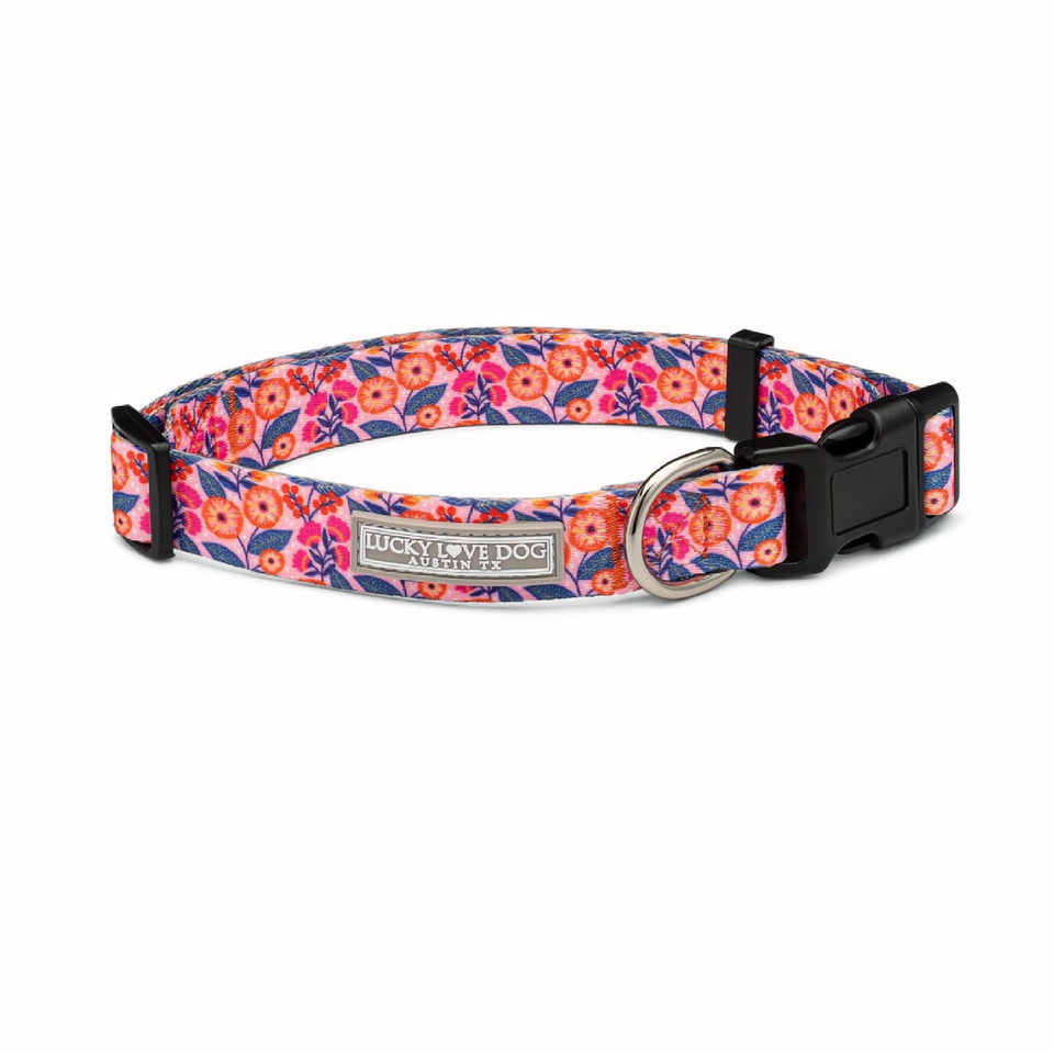 Floral Lucky Love Dog collar featuring vibrant orange flowers