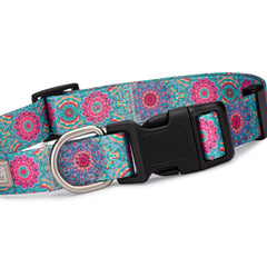 Clara Dog Collar