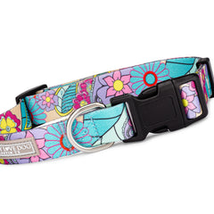 colorful floral dog collar