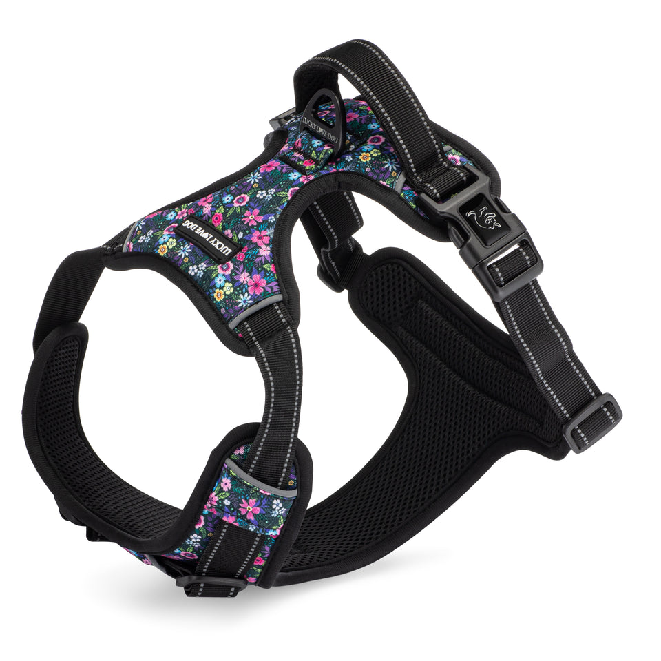 Easy Walker Primrose Harness