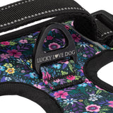 Easy Walker Primrose Harness
