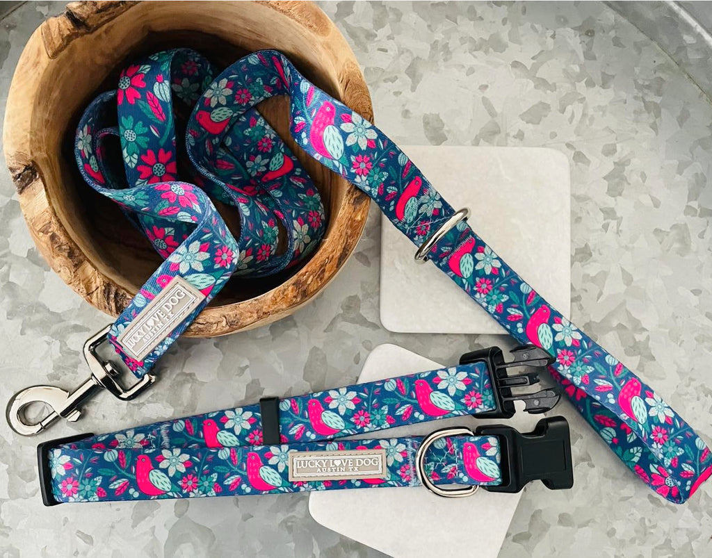  cute whimsical blue and pink birds and floral dog collar and leash