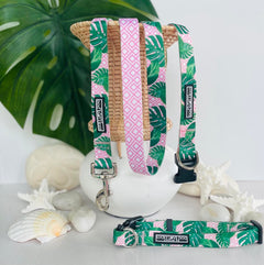 Tropical-themed dog collars and leash with green monstera leaves and pink geometric patterns