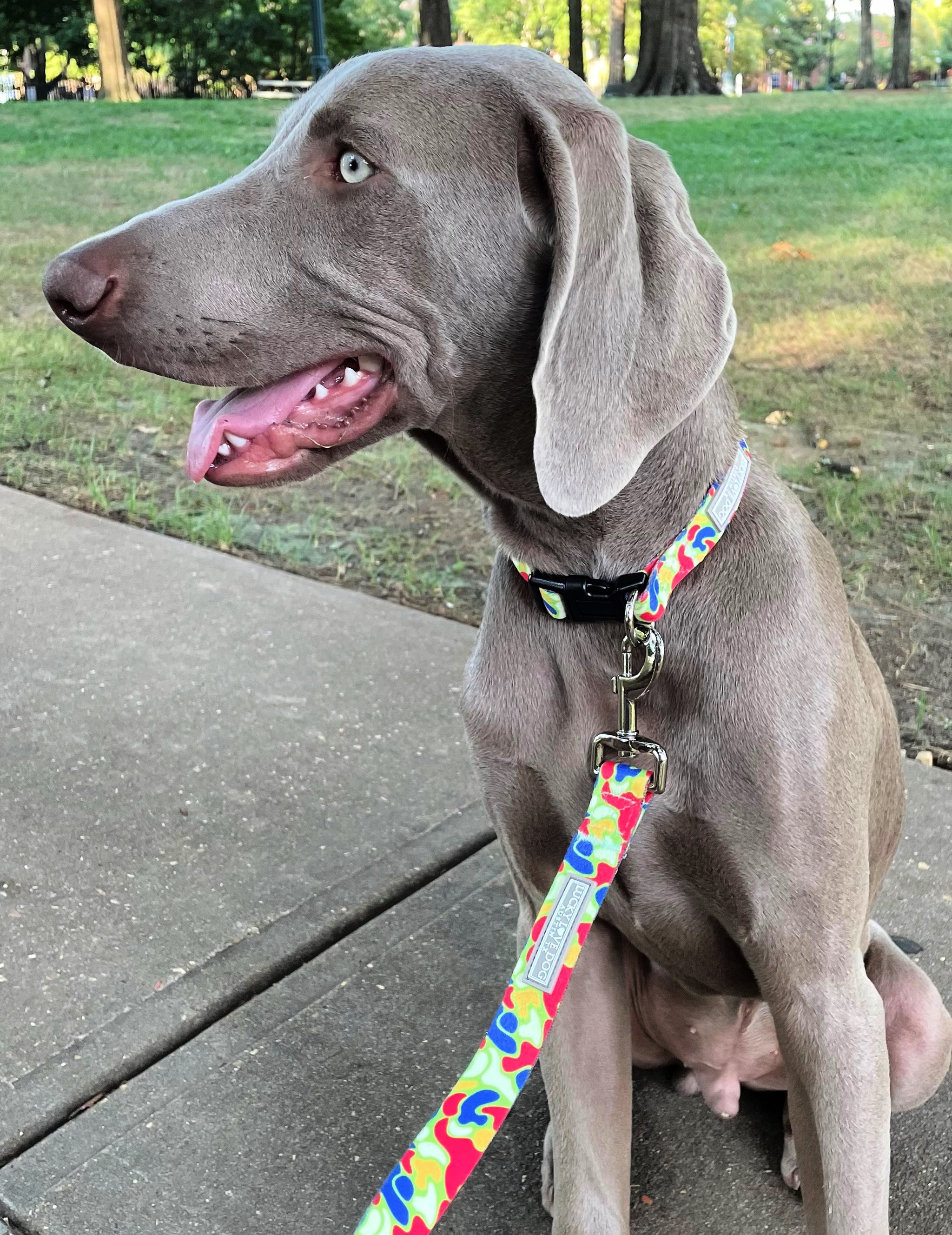 44_2048x.jpg?v=1725060907