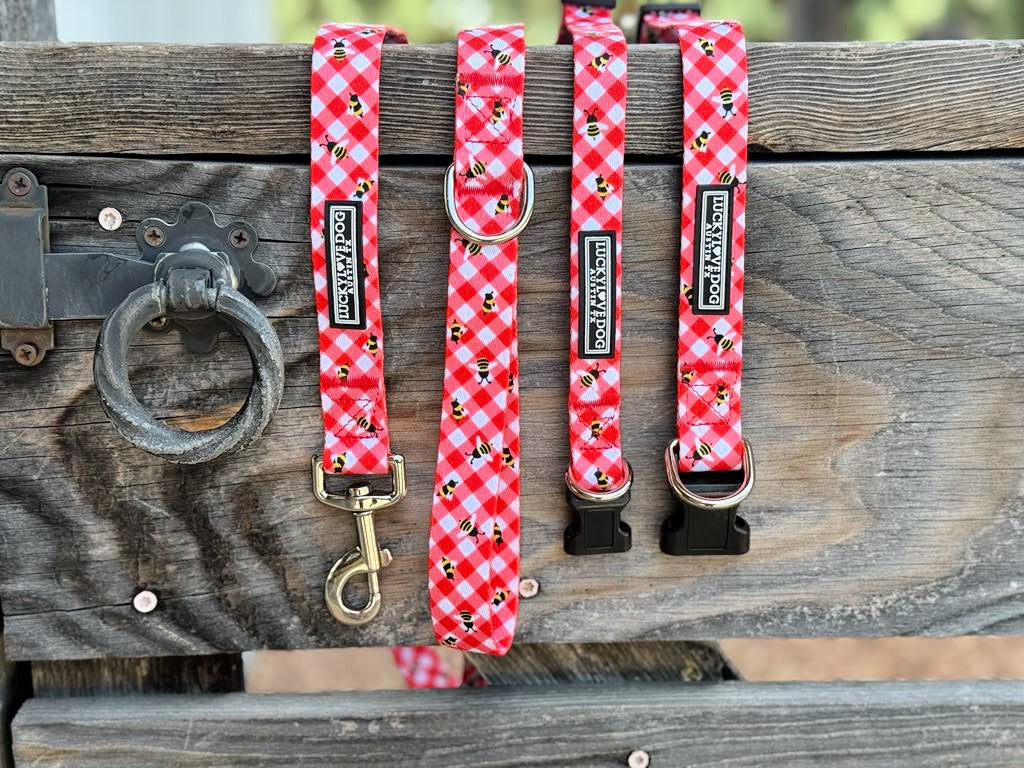 Bailey Dog Collar and Leash Wholesale