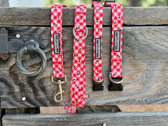 Bailey Dog Collar and Leash Wholesale