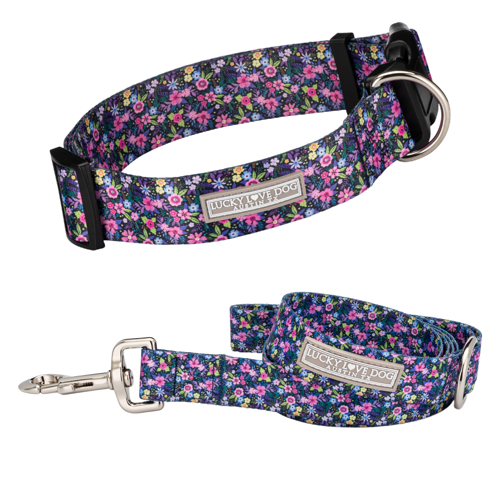 Wide Primrose Dog Collar - Extra Comfort & Soft Fit – LuckyLoveDog