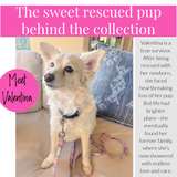 Rescued dog Valentina sitting on a couch with a floral Lucky Love Dog leash.