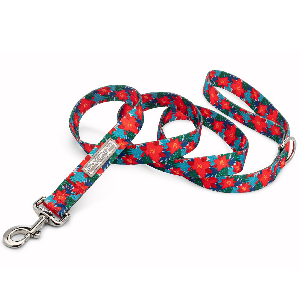 red green blue winter dog leash