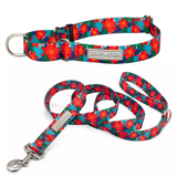 Red poinsettia-themed martingale dog collar and matching leash by Lucky Love Dog Austin with festive holiday pattern.