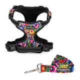 A multicolored floral pattern padded dog harness shown next to a matching floral dog leash.