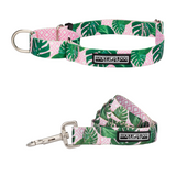 Laguna - Pink  Martingale