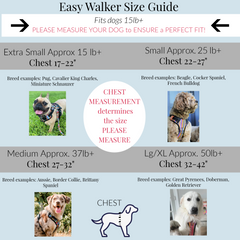 Easy Walker Laguna Pink Harness