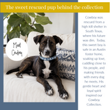 Dog named Cowboy sitting on a couch with text about his rescue and current life.