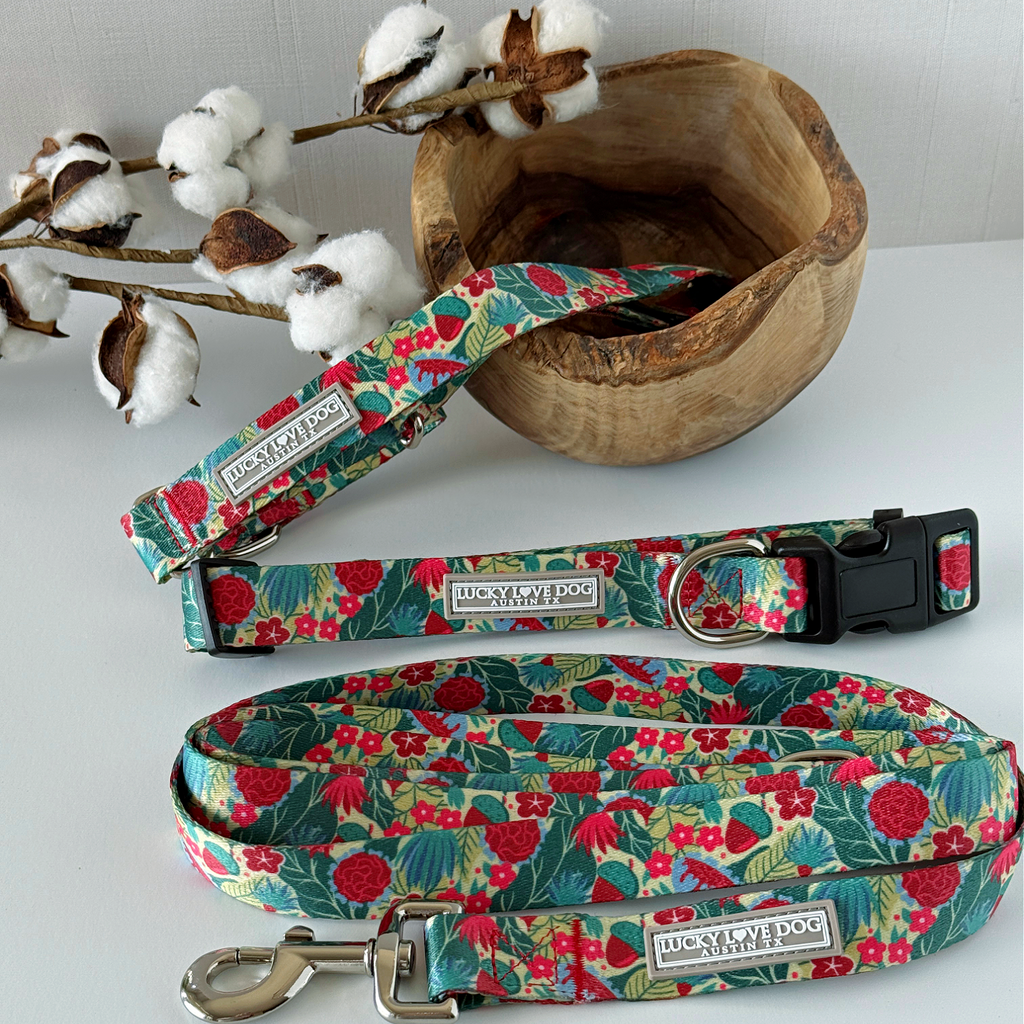 Floral-patterned dog collar and leash set on a white surface with cotton branches in the background.