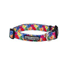 Bright blue dog collar with a colorful tropical hibiscus flower pattern.