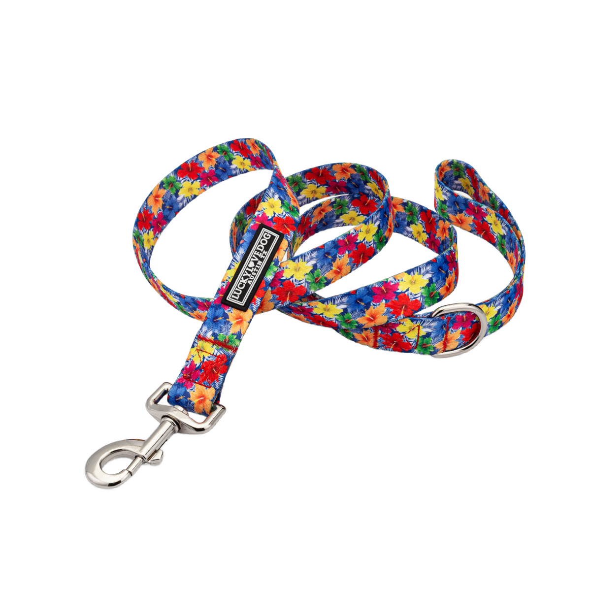 Bright blue dog leash with a colorful, tropical hibiscus flower pattern and a silver clasp.