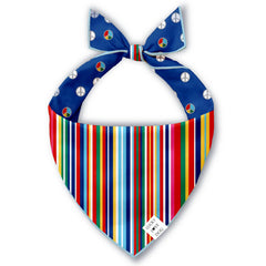 colorful striped bandana