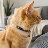 An orange tabby cat wearing a colorful striped collar with a silver bell, shown in a cozy living room setting.