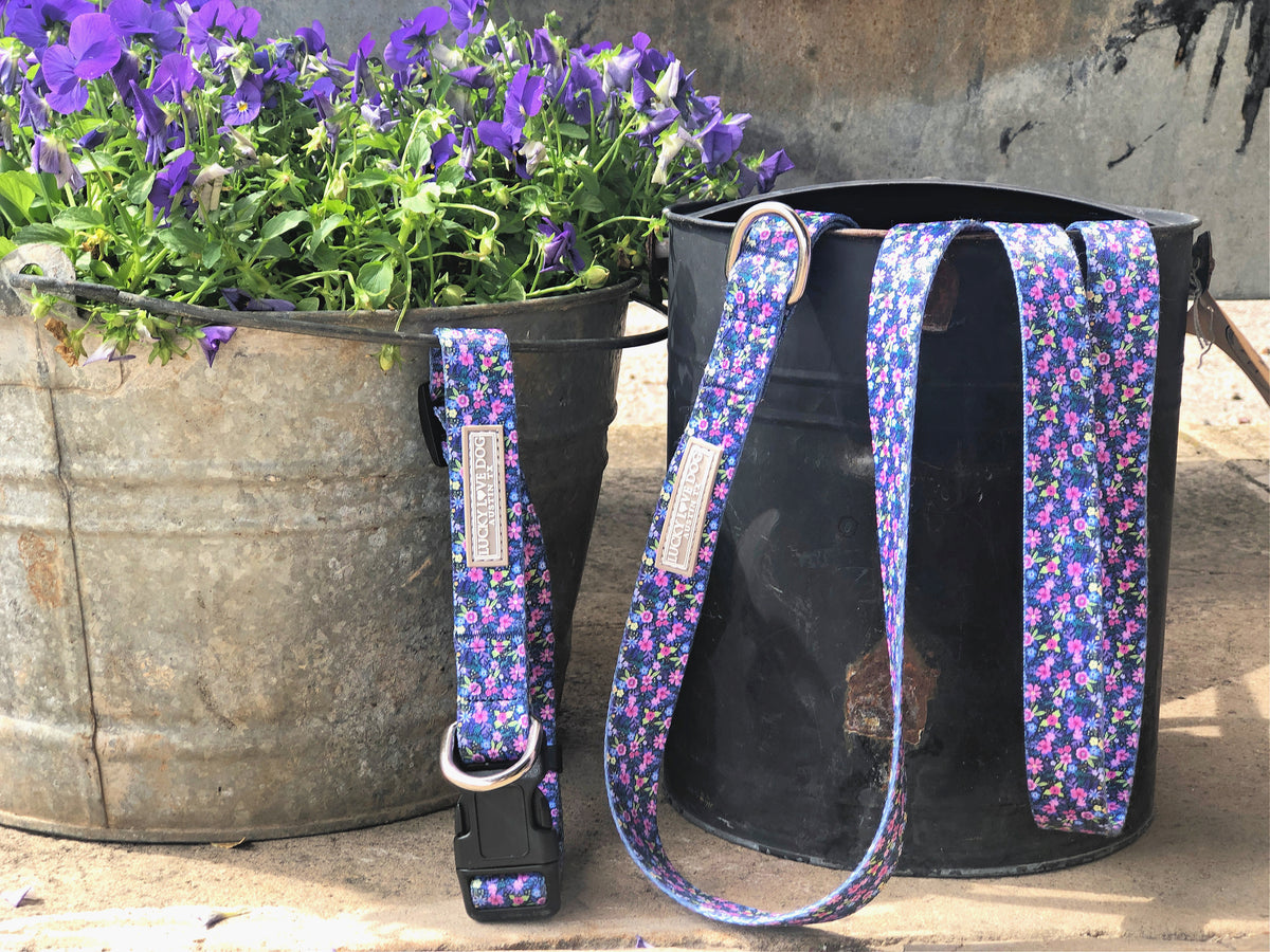 Primrose Martingale