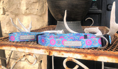 Clara Dog Collar