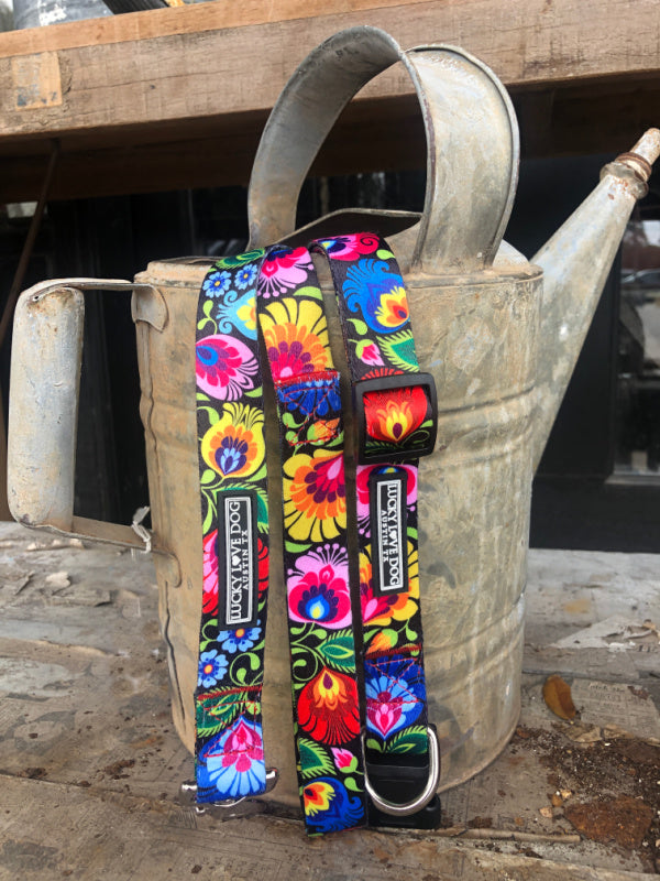 Colorful Lucky Love Dog collar and leash displayed on a watering can.