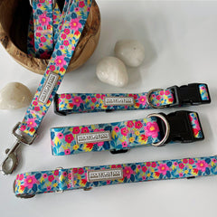 Bright floral Lucky Love Dog collars and matching leash displayed with white stones.