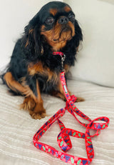 Dog wearing a red winter-themed Lucky Love Dog collar and leash with mitten and hat pattern while sitting indoors.