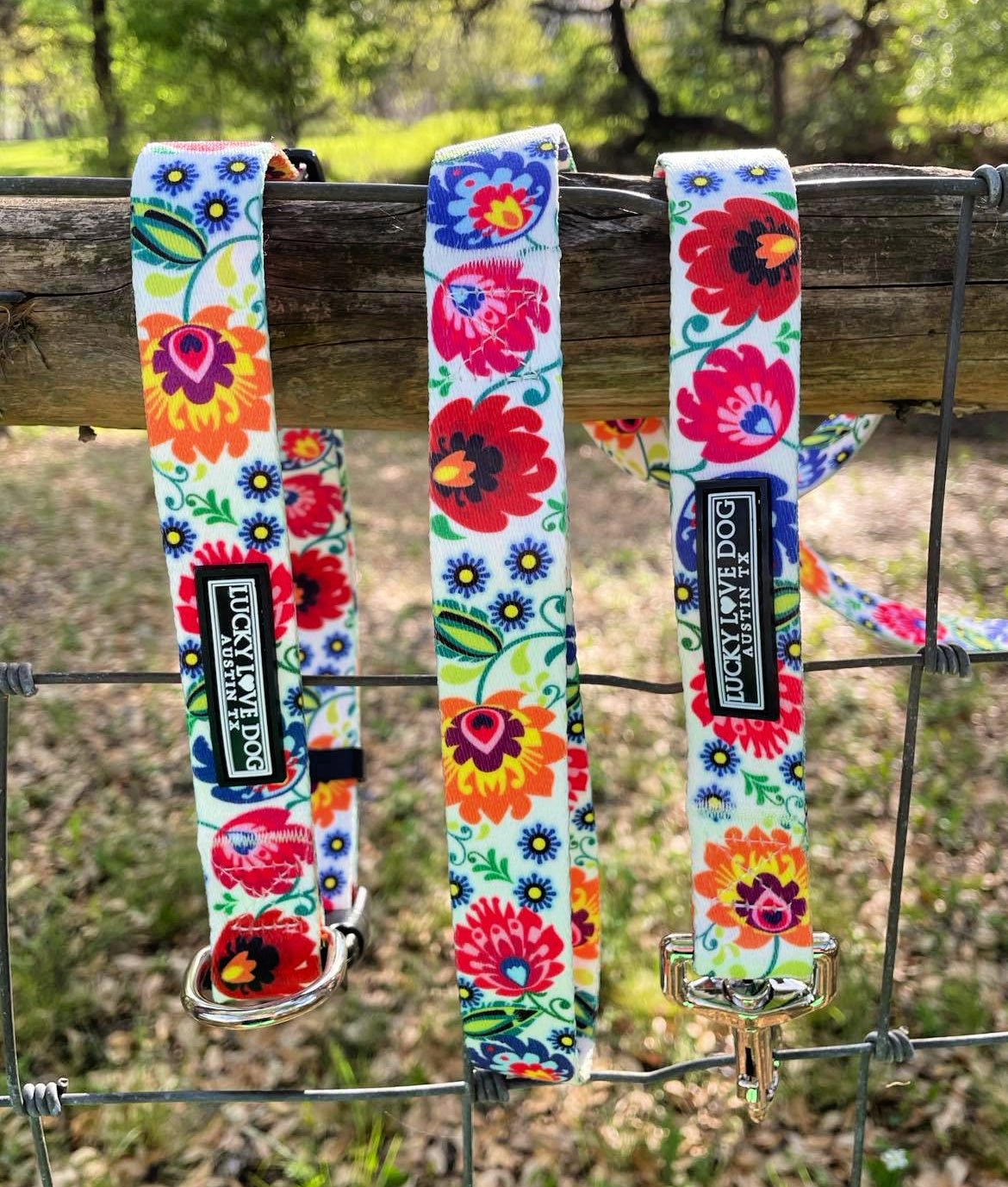 folk floral ladybird collar and leash