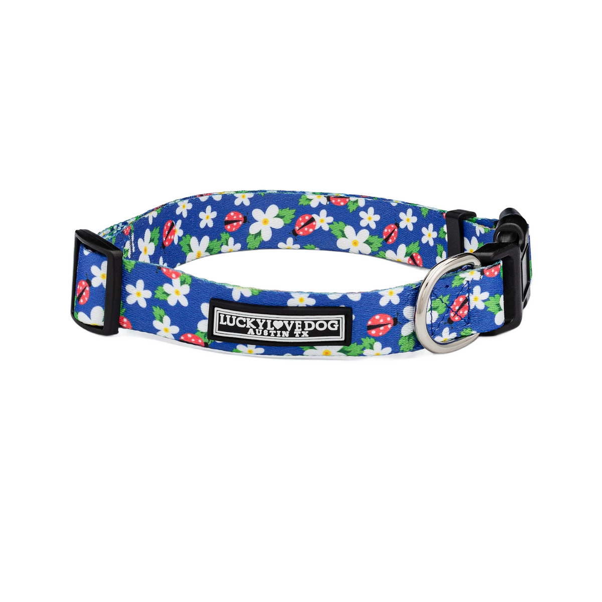 Blue dog collar with a pattern of white daisy flowers and red ladybugs.