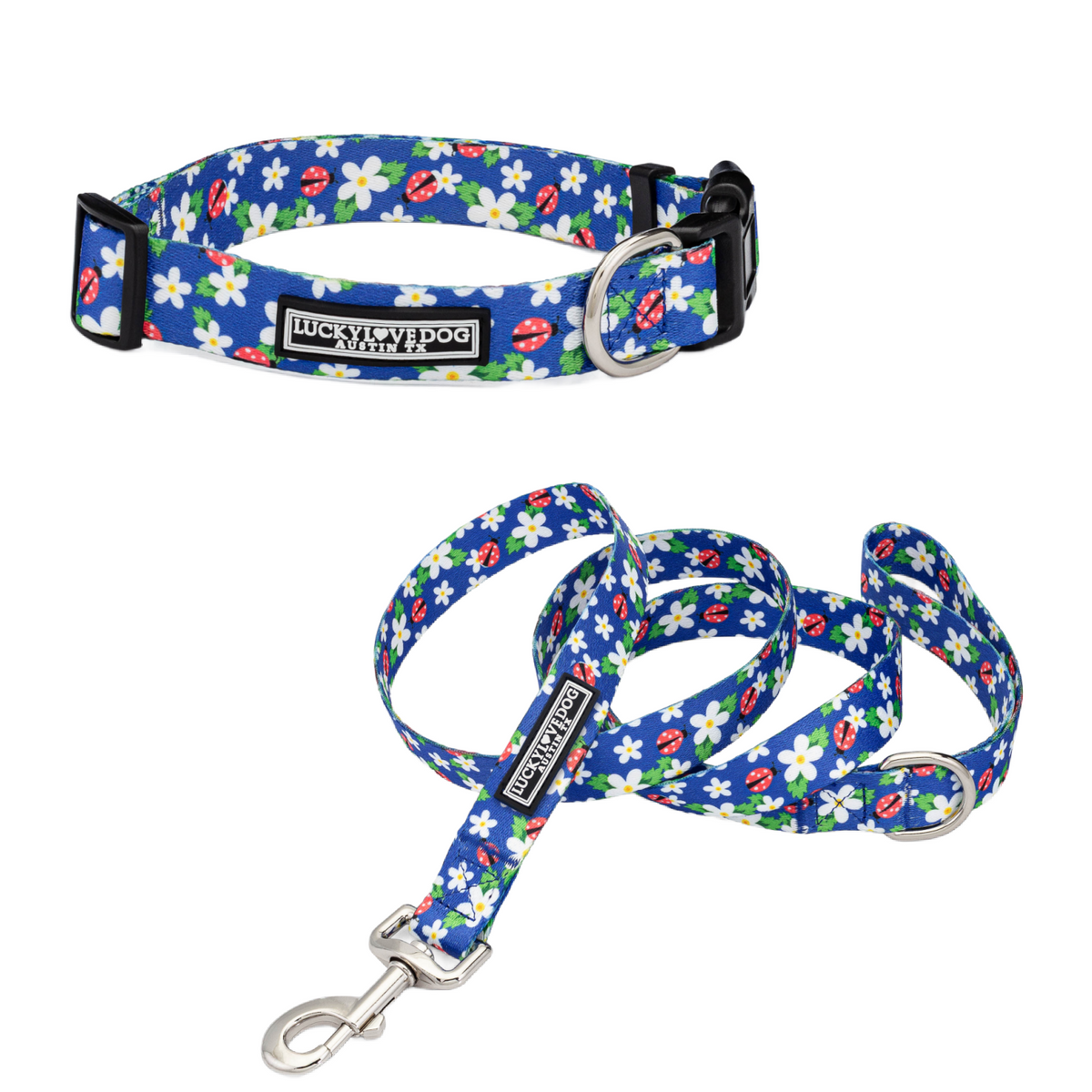 Blue dog collar and leash set featuring a pattern of white daisy flowers and red ladybugs.