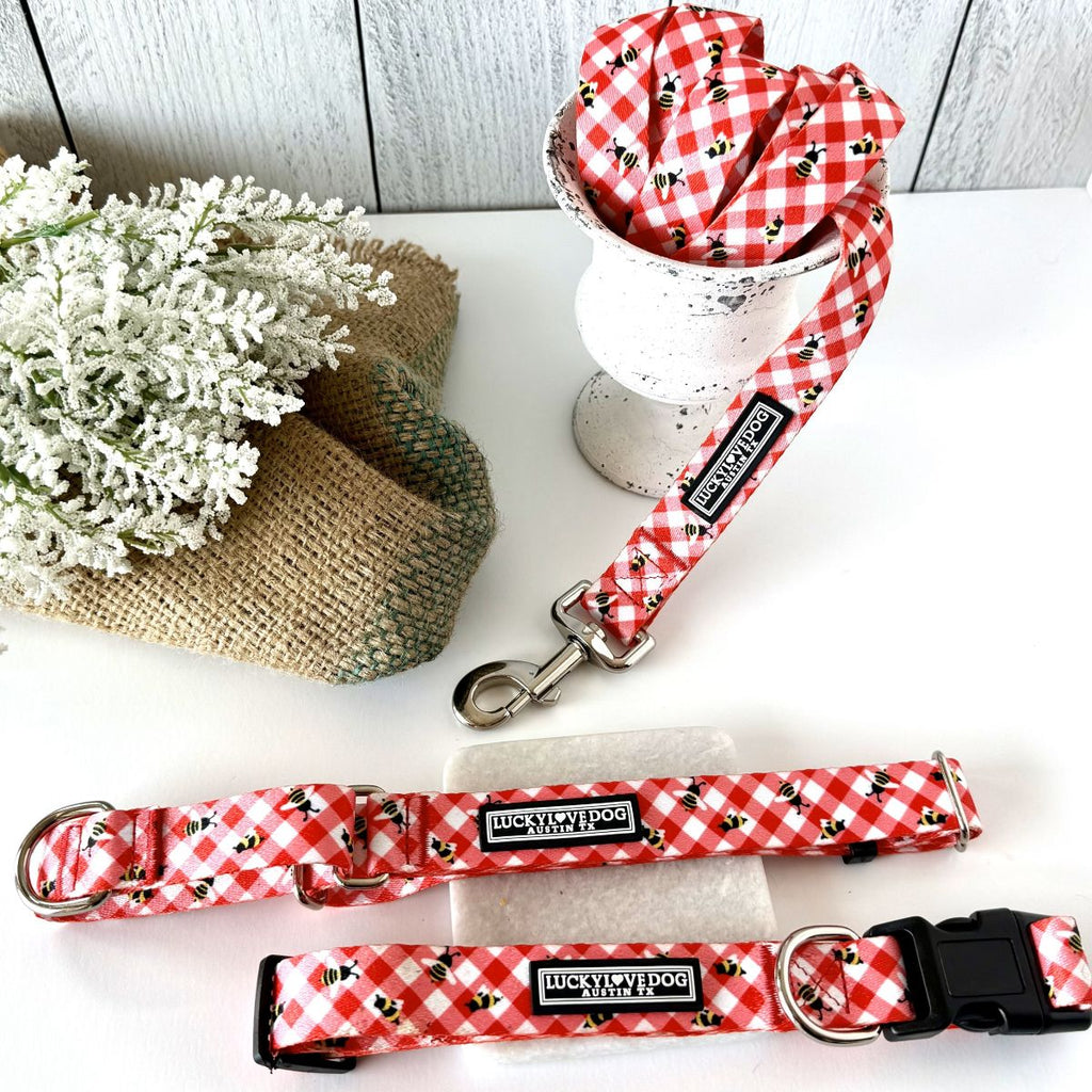 red gingham dog collar with bees
