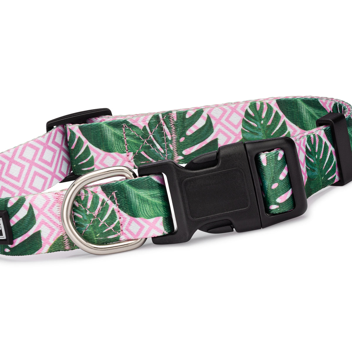 Pink and green tropical-pattern dog collar with black buckle