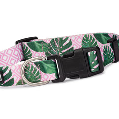 Pink and green tropical-pattern dog collar with black buckle