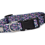 Purple floral dog collar featuring a vibrant ditsy flower pattern with a black plastic buckle and metal D-ring on a white background.