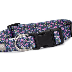Purple floral dog collar featuring a vibrant ditsy flower pattern with a black plastic buckle and metal D-ring on a white background.