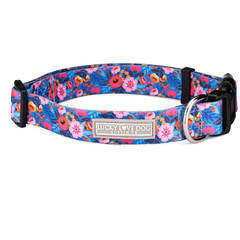 Blue dog collar with a vibrant pink and orange floral pattern