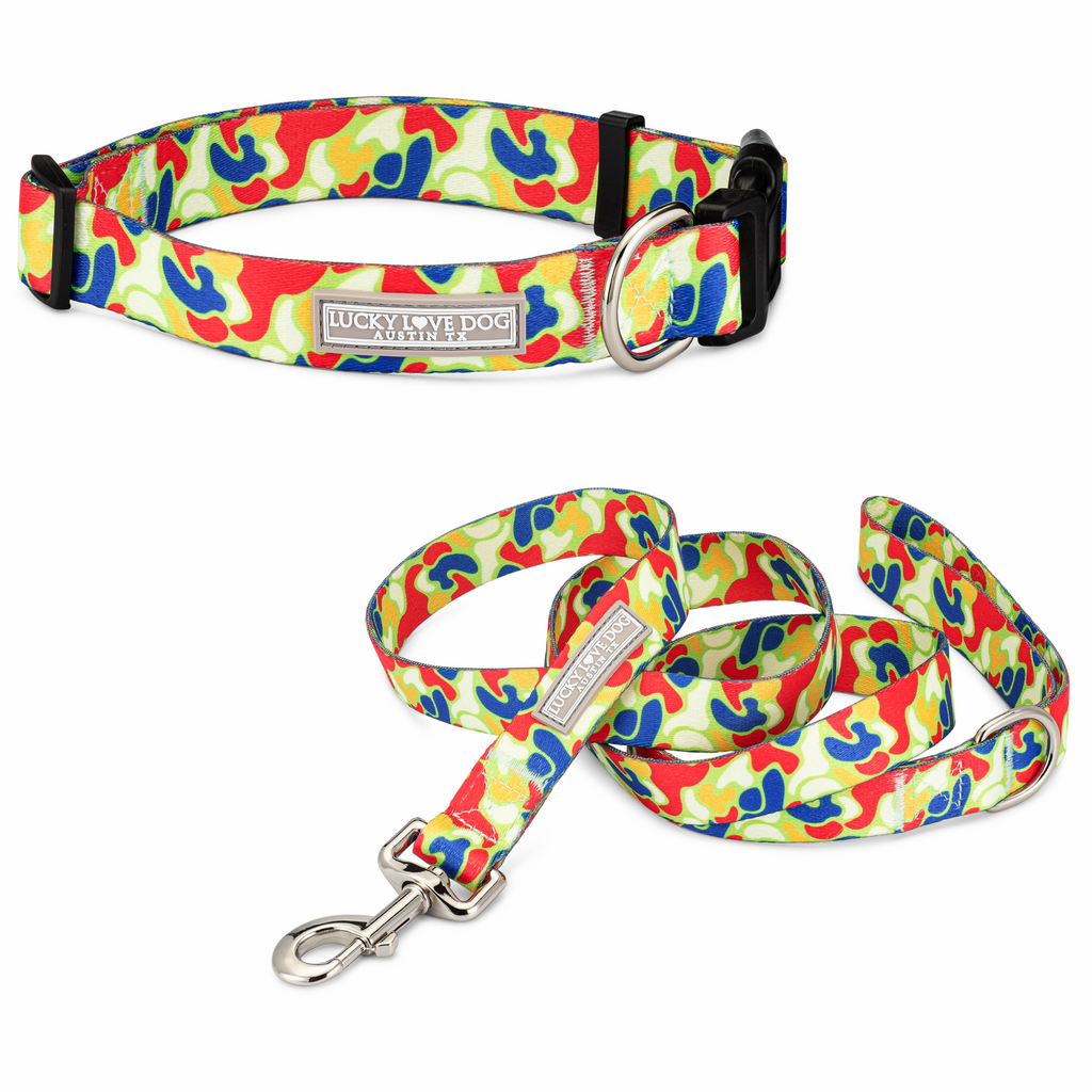 blue yellow red camo dog collar and leash